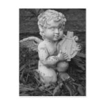 Lyre Postcard