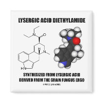 Lysergic Acid Diethylamide From Grain Fungus Ergo Fridge Magnets