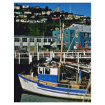 Lyttelton, Time Ball Tower flyers