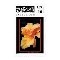 m16 postage by MissesKisses m16 postage