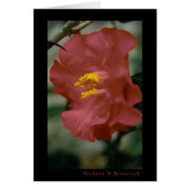 m7 cards by MissesKisses m7 cards