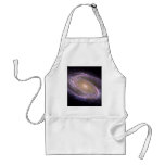 M81 GALAXY aprons