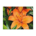 m_28cd2777ec45d840877ef76f1247be90 post card