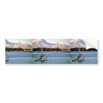 M/V Ursa Major Bumper Sticker