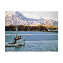 M/V Ursa Major Post Cards