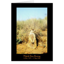 Mabili - Legends Card by fkmp_store Mabili - Legends Card