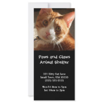 Mac Cat Photo Animal Adoption Bookmark Rack Cards