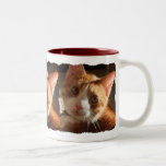 Mac Cat Photo Triple Mug