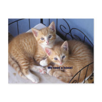 mac-n-chesse postcards by MOMKAY mac-n-chesse postcards