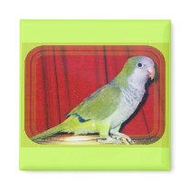 MAC THE PARROT magnets by KABSANNIE MAC THE PARROT magnets