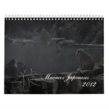 Macacos Japoneses Calendarios De Pared