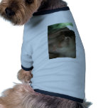Macaque Monkey Borneo Pet Clothing Macaque Monkey Borneo Pet Clothing