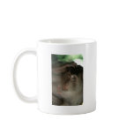 Macaque Monkey Borneo Mug