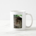 Macaque Monkey Borneo Mug