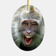 Macaque monkey christmas ornaments