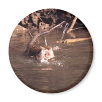 Macaque Monkey in Borneo Magnet
