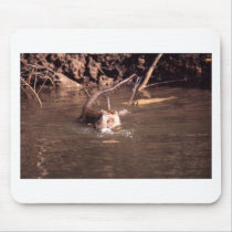 Macaque Monkey in Borneo Mousepad