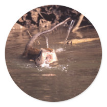 Macaque Monkey in Borneo Round Stickers