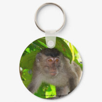 Macaque Monkey in rainforest Keychain