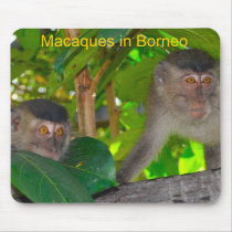 Macaque Monkeys in Borneo mousepads by Rebecca_Reeder Macaque Monkeys in Borneo mousepads