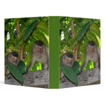 Macaque Monkeys in Rainforest 3 ring 3 Ring Binder