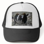 Macaroni Penguin - Pair At Nest Trucker Hats