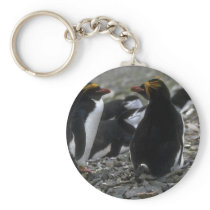 Macaroni Penguin - Pair At Nest Key Chain