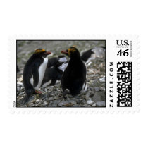 Macaroni Penguin - Pair At Nest Stamp