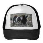 Macaroni Penguin - Pair At Nest Trucker Hats