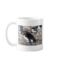 Macaroni Penguin Sitting On Egg Mug