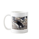 Macaroni Penguin Sitting On Egg Mug