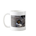 Macaroni Penguin Sitting On Egg Mugs