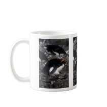 Macaroni Penguin Sitting On Egg Coffee Mugs