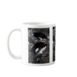 Macaroni Penguin Sitting On Egg Coffee Mugs