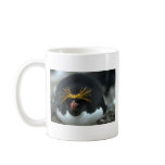 Macaroni Penguin Sitting On Egg Mug