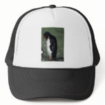 Macaroni Penguin Standing Erect Trucker Hat