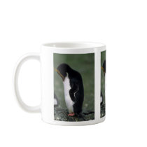 Macaroni Penguin Standing Erect Mugs