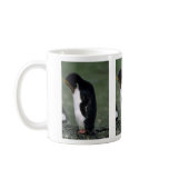 Macaroni Penguin Standing Erect Mugs