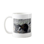 Macaroni Penguins - Mutual Grooming/Pair Bonding Coffee Mug