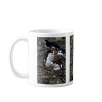 Macaroni Penguins - Pair At Nest Mug