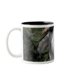 Macaroni Penguins, South Georgia Mugs