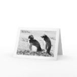 Macaroni Penguins, Thank You card