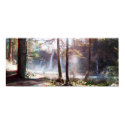 MacArthur Burney Falls 3D Anaglyph Panorama posters