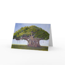 MacArthur's Banyan - Card with Story of the Banyan