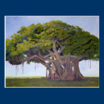 MacArthur's Banyan postcards