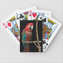 Macaw 52 Deck Playing Cards playing cards