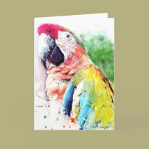 Macaw cards by William63 Macaw cards