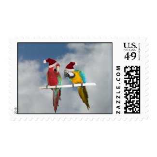 Macaw Christmas Postage