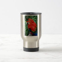Macaw de Scalet Taza
