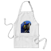 Macaw del jacinto delantales